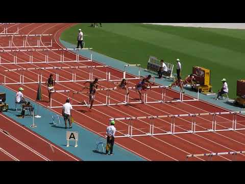 H30　日本インカレ　男子110mH　予選2組