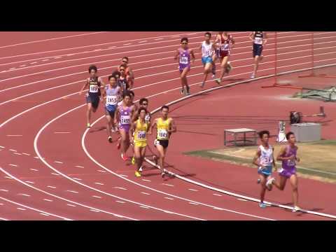 平成 29 年度第 1 回関西学連競技会　男子1500ｍ7組