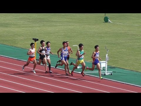 2017 東北総体 陸上 男子800メートル予選1組目