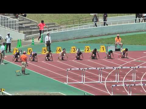 H29　千葉県高校総体　男子110mH　準決勝3組