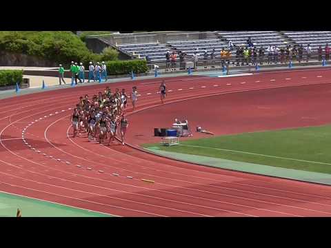 2017京都府IH・男子5000m決勝