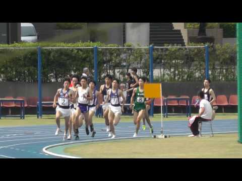 2016 05 14 日体大長距離　男子800 野澤・安達・髙橋