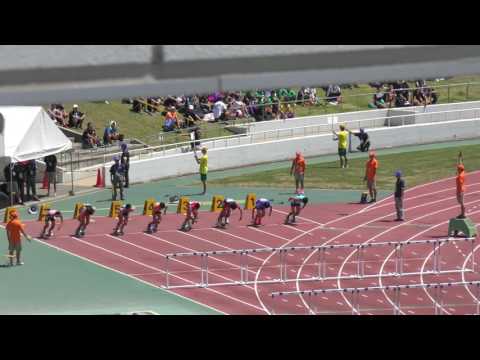 H29　北関東　男子八種競技　110mH1組