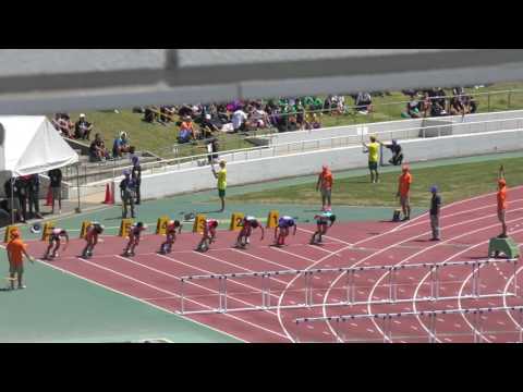 H29　北関東　男子八種競技　110mH1組