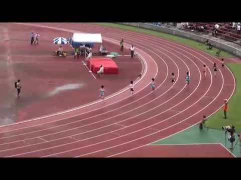 2015 南関東高校総体陸上 女子800m決勝