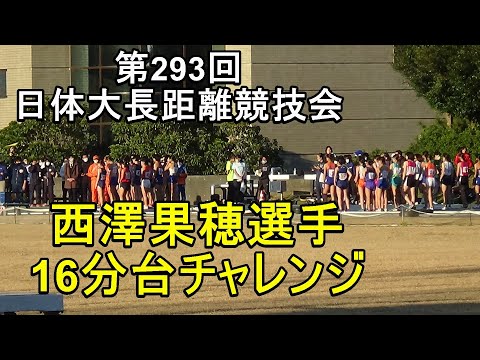 女子5000ｍ2組　第293回日体大長距離競技会　#ざわちょ