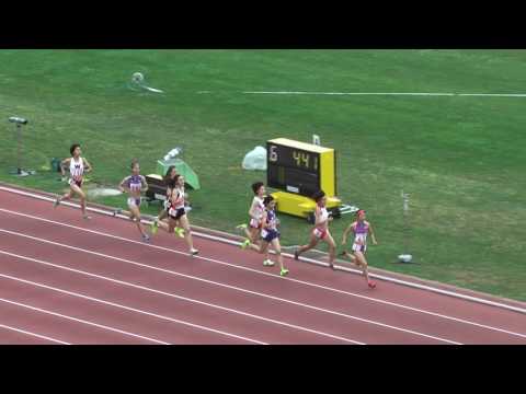 H29　南関東　女子800m　決勝