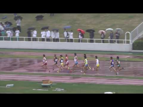 H29　南関東　男子3000mSC　予選1組