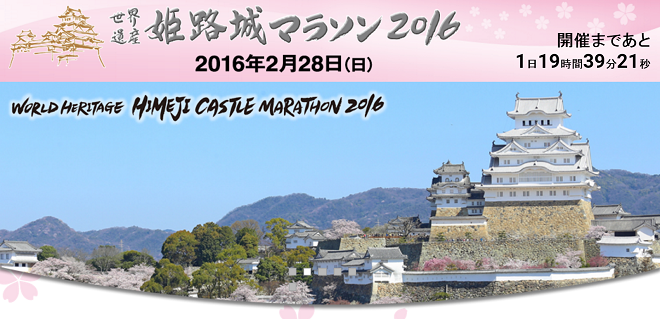 世界遺産姫路城マラソン 画像