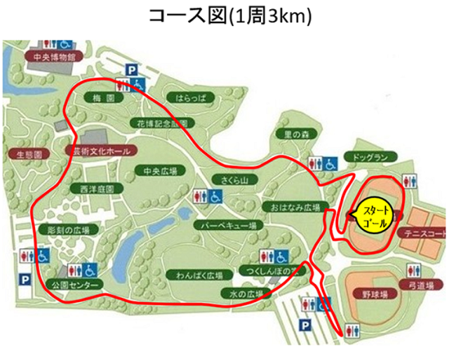 千葉季節のめぐみマラソン2018コース