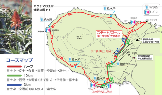 八丈島パブリックロードレース 結果 速報 リザルト