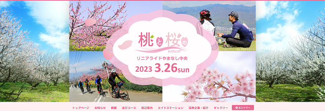 桃と桜のサイクリング2023
